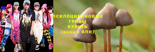 бошки Михайлов