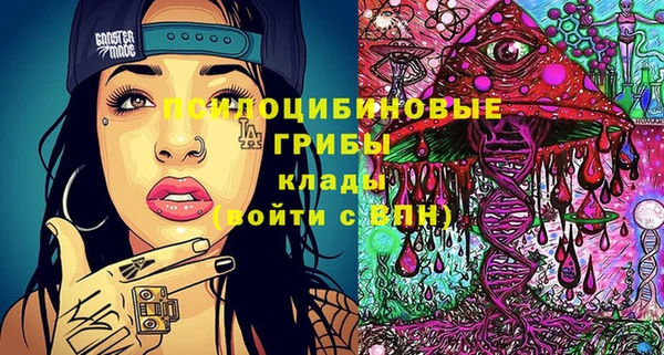 MDMA Premium VHQ Коряжма