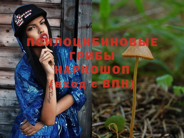 бутират Краснослободск