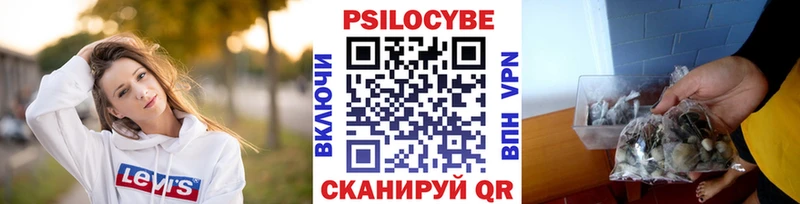 OMG ONION  Котовск  Галлюциногенные грибы Psilocybine cubensis 