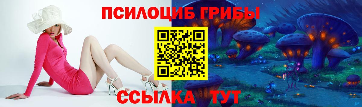 Галлюциногенные грибы мухоморы  Вход с VPN  наркотики  Котовск  Галлюциногенные грибы Psilocybe 